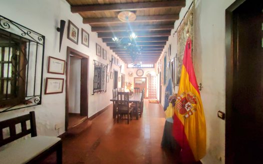 Completely restored 19th century rustic property