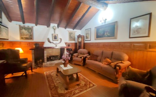 Completely restored 19th century rustic property